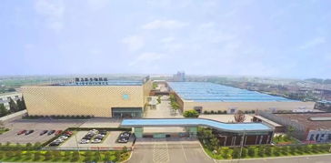 隆力奇 堅(jiān)守大健康產(chǎn)業(yè)，以網(wǎng)絡(luò)科技賦能民族品牌振興之路